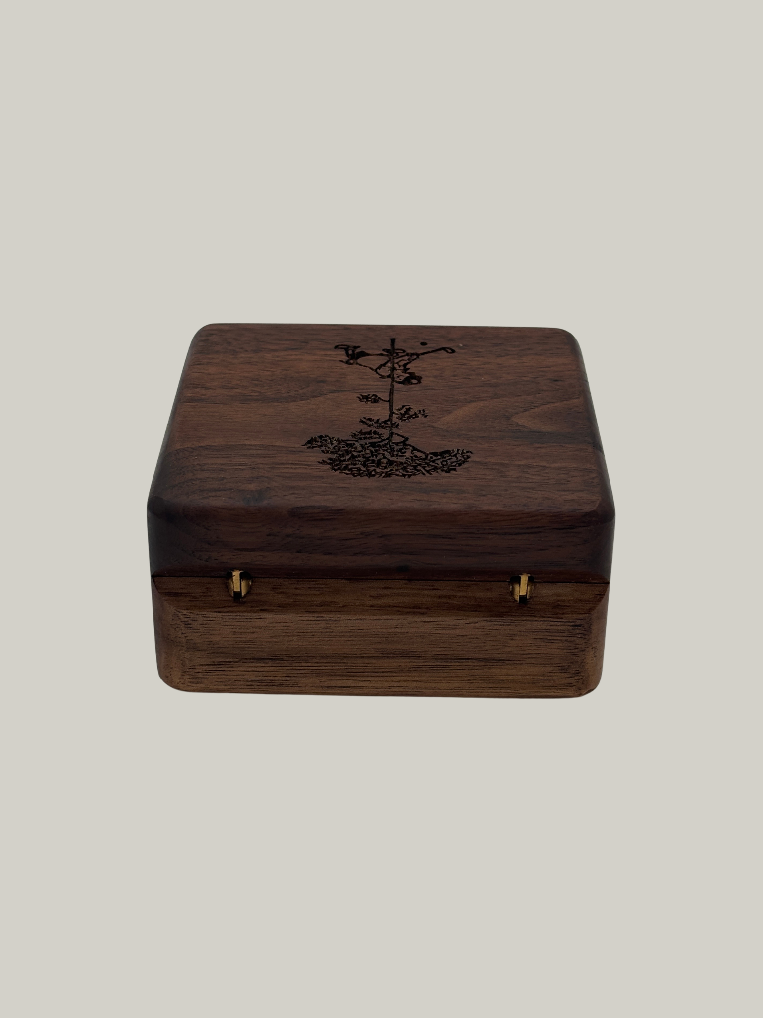 Walnut Jewelry Box