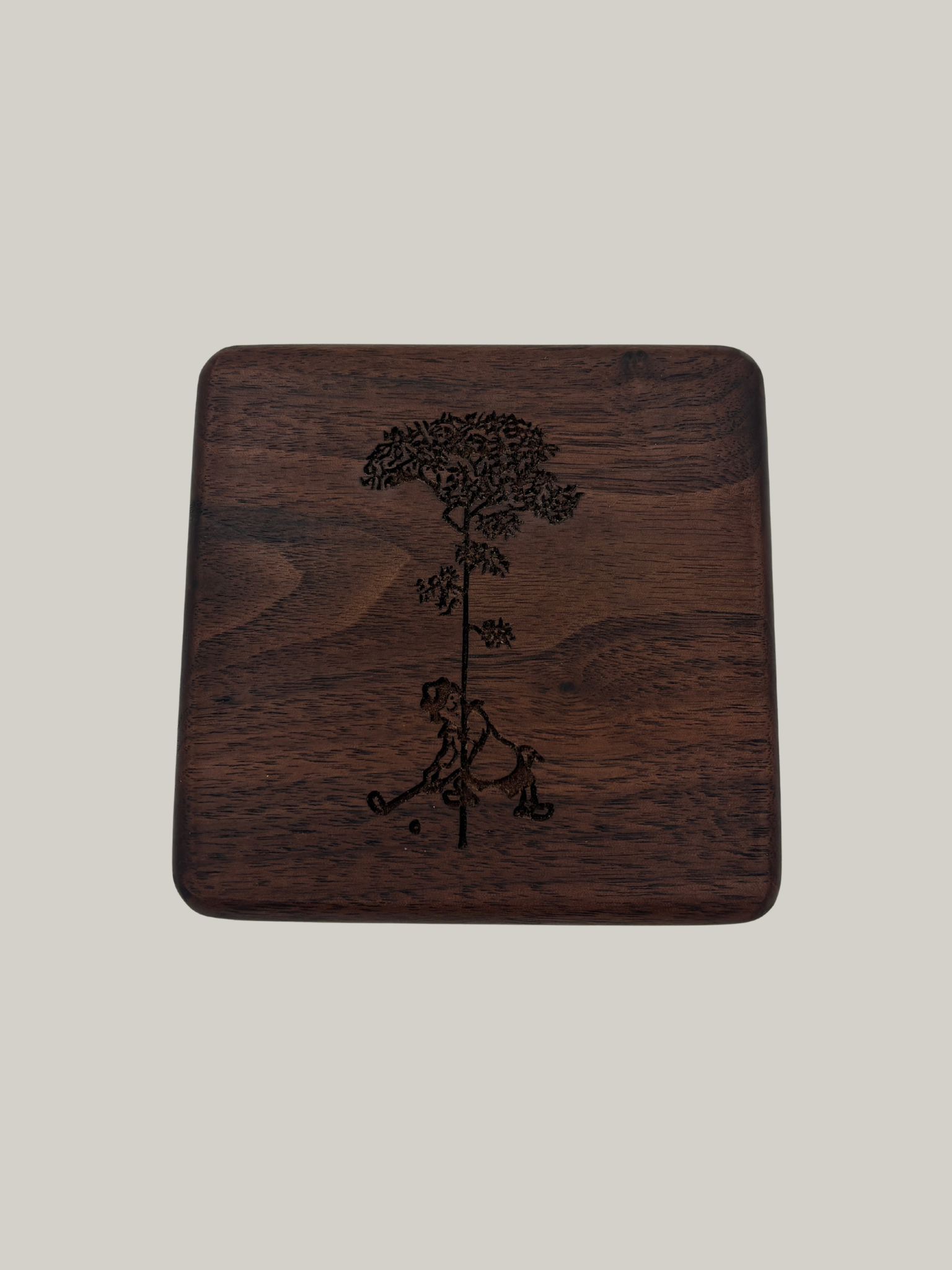 Walnut Jewelry Box